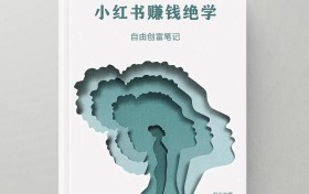 小红书实战课程合集：从零开始快速学习运营技巧，赚钱博主都在用的知识库！