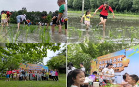 “传承非遗文化，走进花牌农耕” 花牌村举办乡村乡游体验营